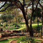 Meilleur Center Parcs en Europe : notre sélection pour un séjour en famille réussi