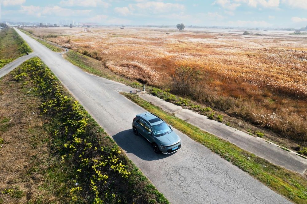 Voiture permis